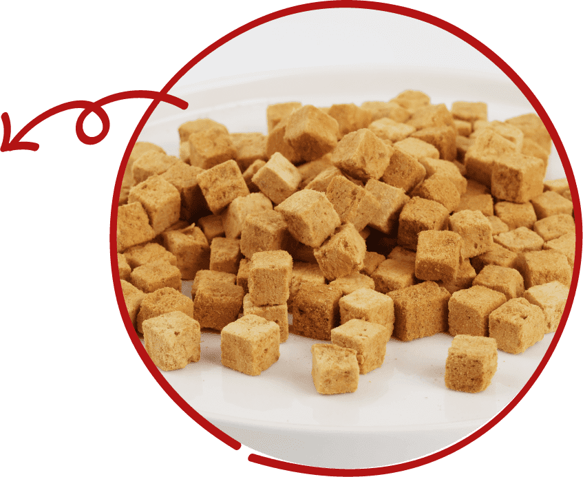 Freeze-dried Pet Snack
